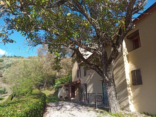 Agriturismo Il Giardino 폰타씨에베 외부 사진