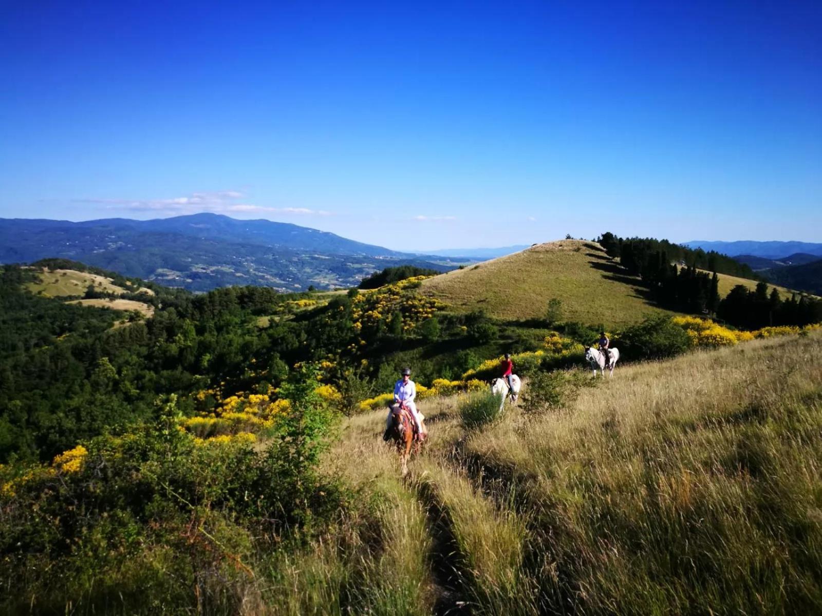 Agriturismo Il Giardino 폰타씨에베 외부 사진