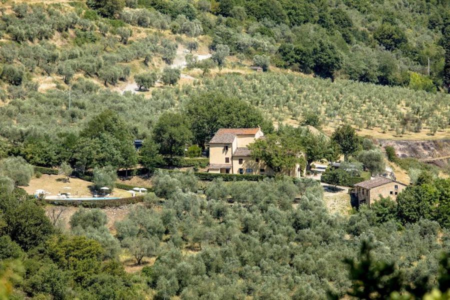 Agriturismo Il Giardino 폰타씨에베 외부 사진