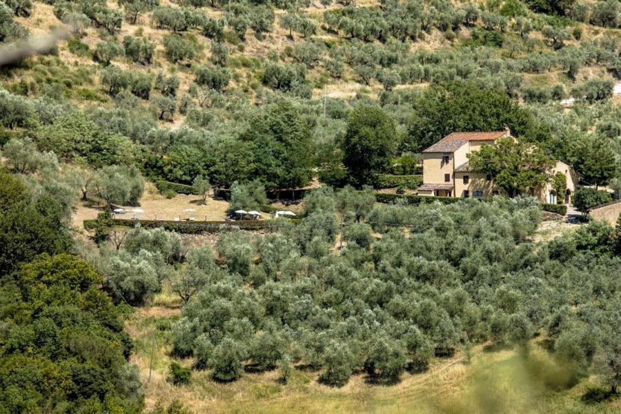 Agriturismo Il Giardino 폰타씨에베 외부 사진